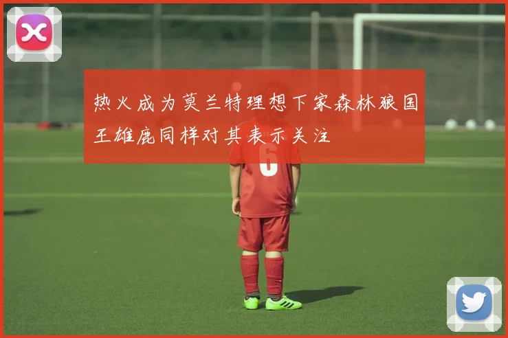 热火成为莫兰特理想下家森林狼国王雄鹿同样对其表示关注