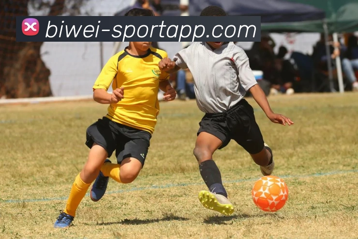 必威足球发展历程